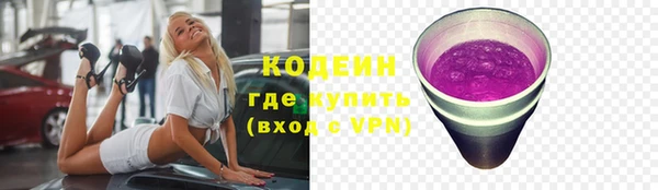 индика Богданович